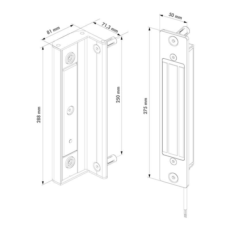 Locinox B-MAG magneetslot en ankerplaat - Inbouw - Voor draaipoorten - 250 kg trekkracht - ZILV