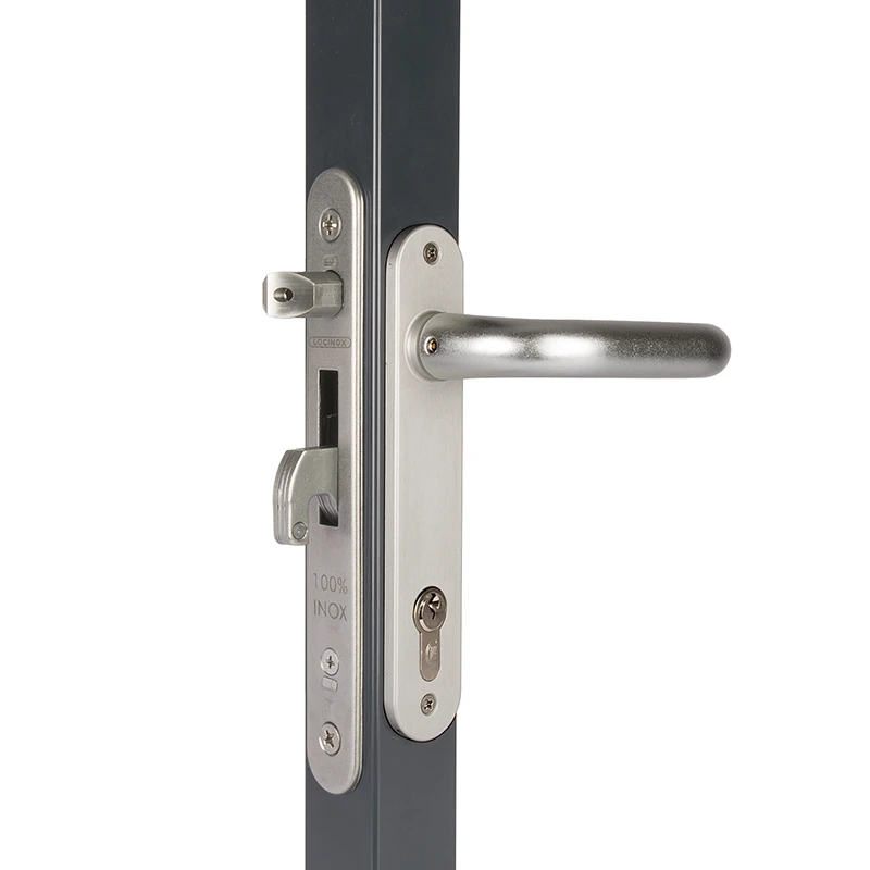 Locinox FORTYLOCK insteekslot - 22 mm doornmaat - Voor profielen vanaf 40 mm